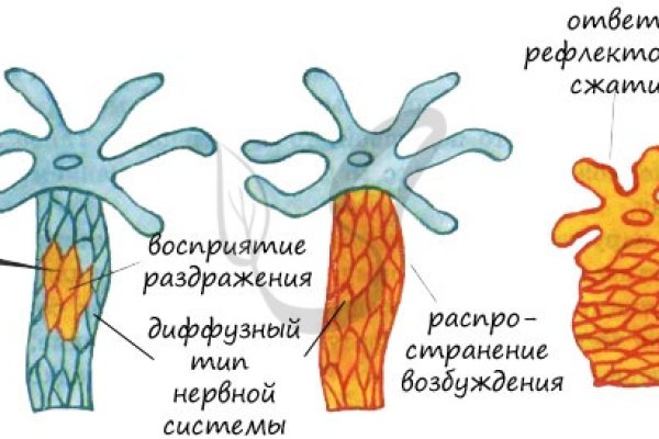 Кракен запрещенные вещества