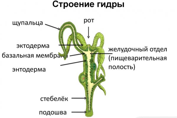 Кракен вход kr2web in