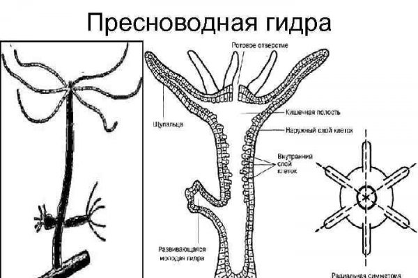 Как зарегаться на кракене