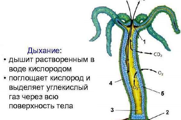 Сайты с наркотиками