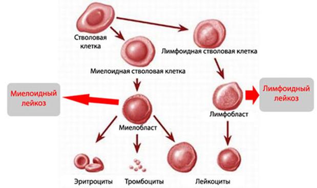 Кракен маркетплейс это